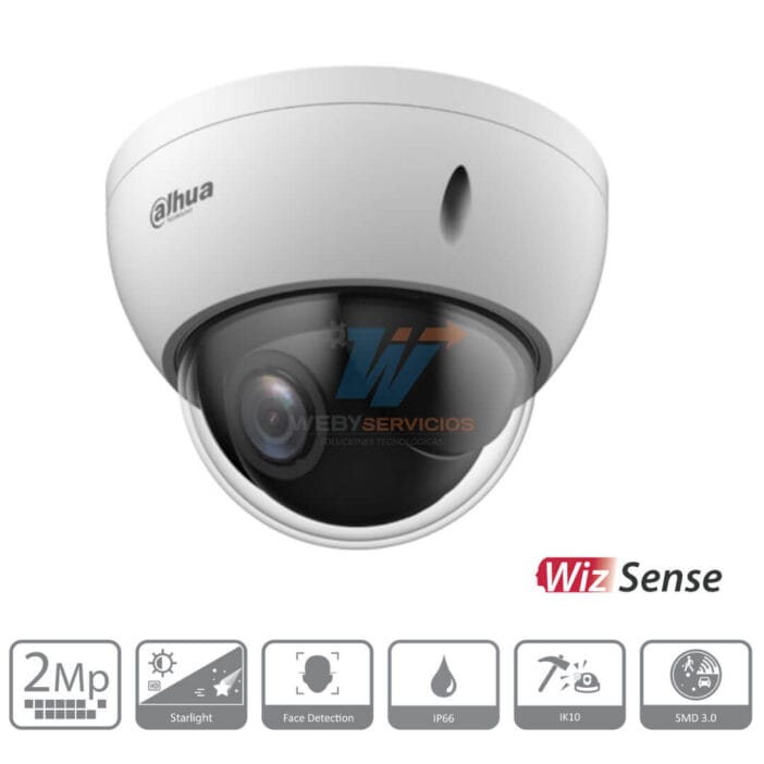 DAHUA SD22204DB-GNY mini ptz wizsense