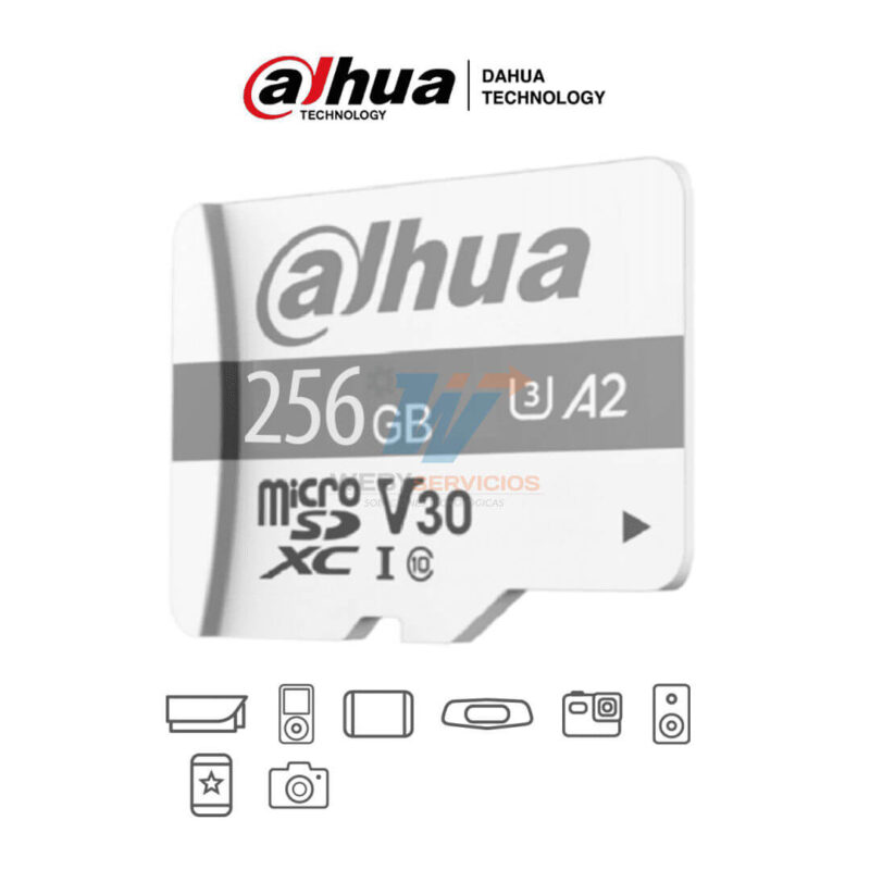 DAHUA TF-P100/256G - Dahua Memoria Micro SD de 256 GB UHS-I