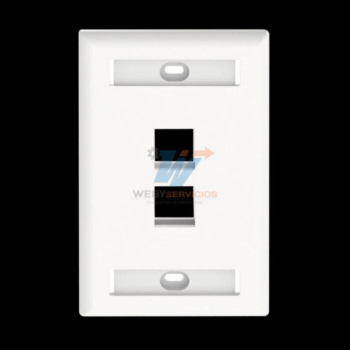 faceplate NK2FWHY panduit 2 unidades