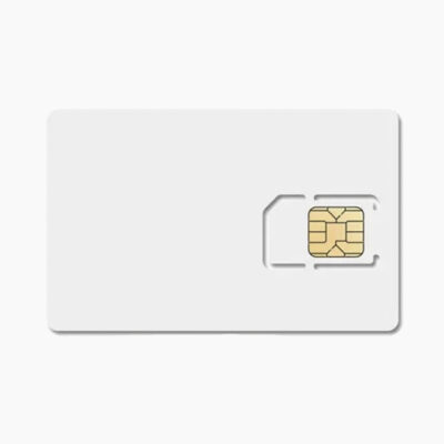 chip 2 años servicio gps SIM500MB2Y